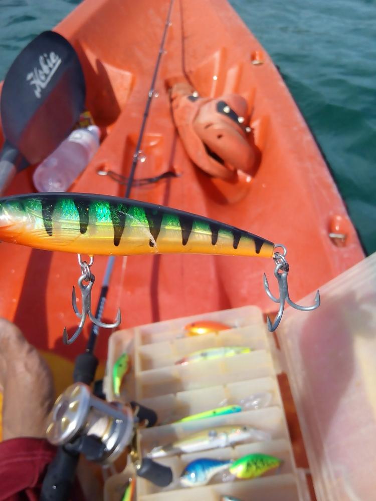 ตีเหยื่อไปหลายตัวสำหรวจตามแนวประการังก็เงียบผมเลยเปลี่ยนมาลอง Rapala X-Rap Deep สีนี้ดูบ้าง