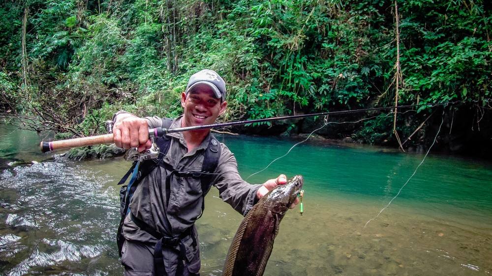เป็นปลากระสงตัวเขื่องครับ
อุปกรณืที่ใช้
Rod: Vdlleyhill BIACKSCAIE BKRS-64LS 3-8lb
Reel:SHIMANO B