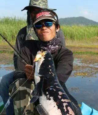 ชะโดเพชรบุรี