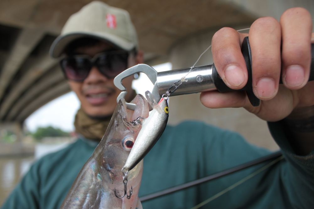 RAPALA CD......จอบโจทย์เจ้าพระยา..เต็มๆคำ