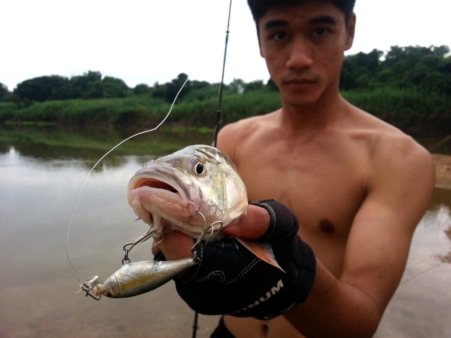 

 [center]เต็มๆปากกับ [b]RAPALA SHAD RAP [/b][/center]


 [center] :grin: :grin: :grin: :grin: