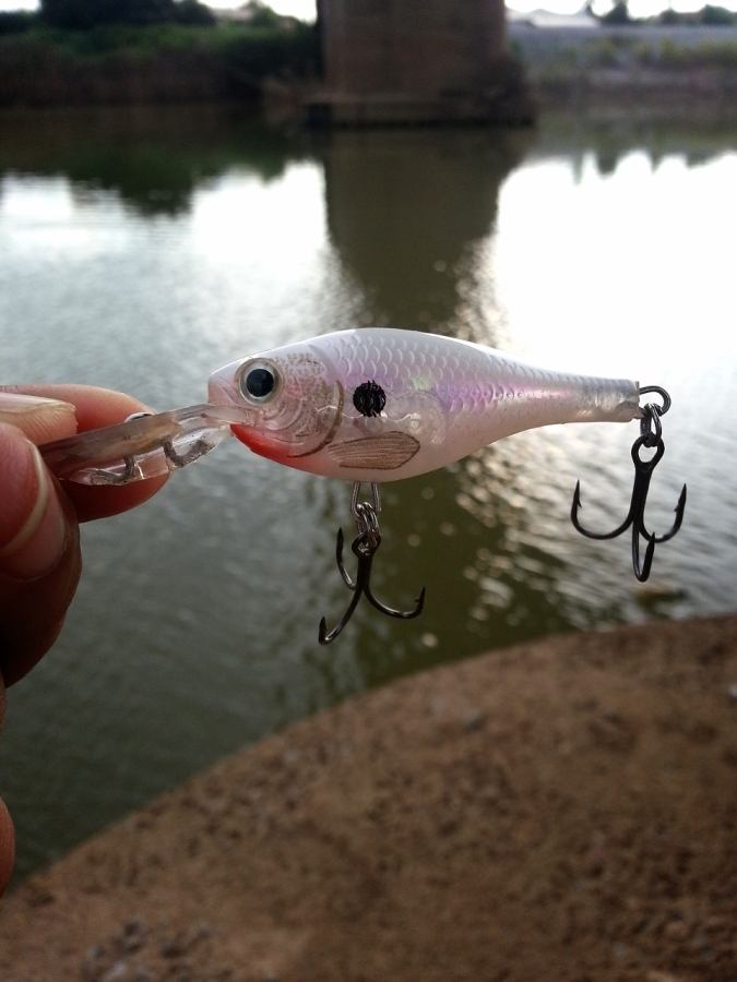 

 [center]ตีที่สูงบนตอม่อเลยต้องเอา  [b]Rapala glass shad rap[/b] ตีเพราะลิ้นยาวดำน้ำได้ลึกหน่อย[