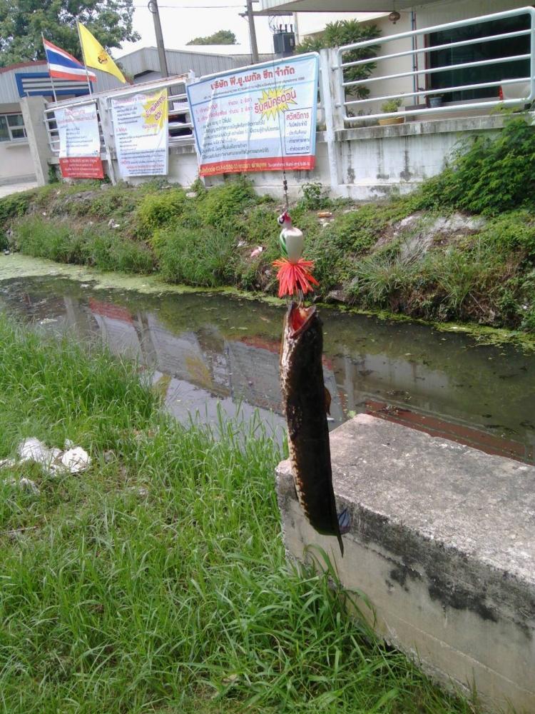 ผลงานน้องประกิต หมายสุมทรปราการ