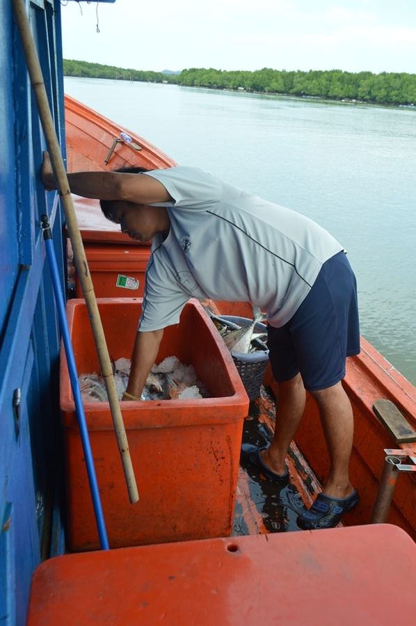 คนเรือ ก็ขยันจริง ๆ  ครับ ตอนนี้กำลังเปิดลัง ปลา เพื่ออะไรหรอครับ 

เพื่อให้ พวกเราได้ชมผลงาน ไงละ