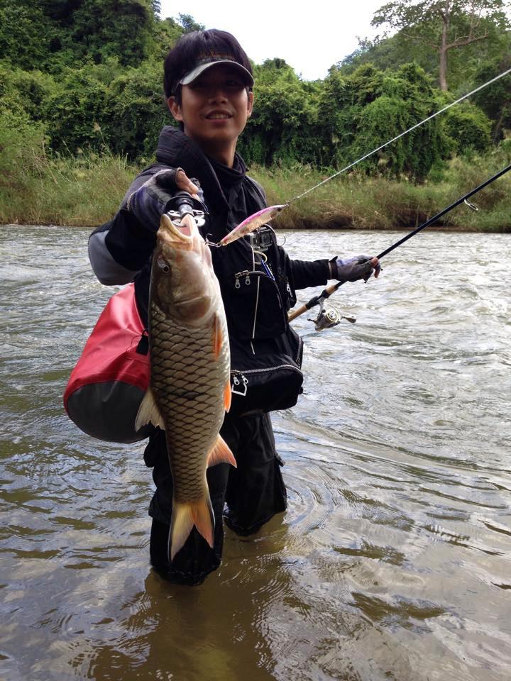  [center]ตัวขนาดนี้ แรงดีมาก น้ำไหลออกซิเจนผ่านเหงือกตลอดเวลา ชุดกลางๆ คัน St.Croix Legend Inshore 7