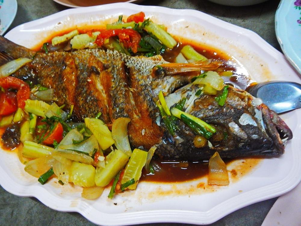 
 [center]กลับมาถึงบ้าน ก็ได้กินปลาสดๆ ในอาหารมื้อเที่ยงพอดีเลยครับ จากเมนู.... [b]ปลากระพงแดงทอดสา