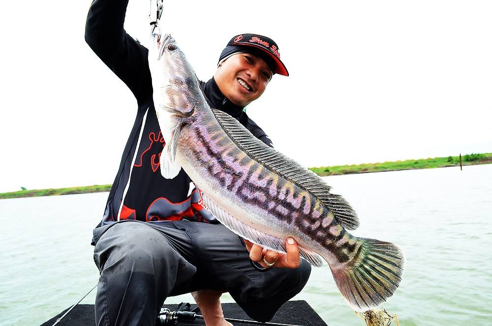  [center]
 [b]*** H I G H L I G H T ***[/b]


Reel : Shimano Shimano Vanquish C 3000 

Rod : T