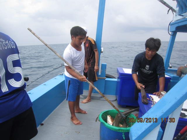 
 [b]ท้ายเรือ ฝั่งซ้าย นั่งเงียบ  ปลาดึงก็เงียบ  ไม่ค่อยพูดกับใคร เพราะพูดไม่เป็น  อัดปลาไม่พูดไม่จ