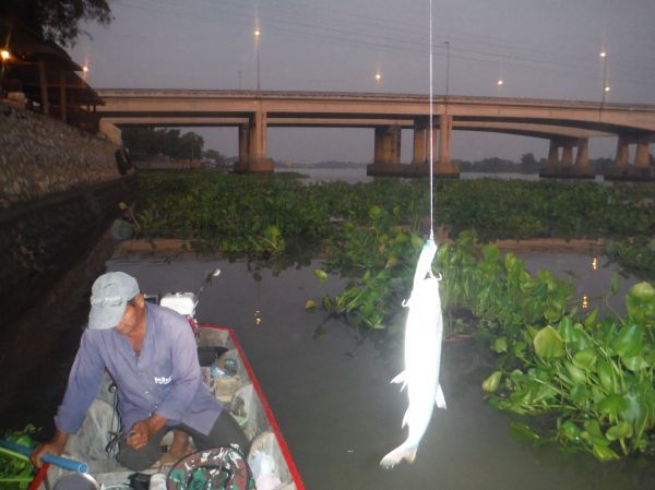 ประเดิมแต้มแรกที่เดิมหมายเขื่อนกันตลิ่งพัง