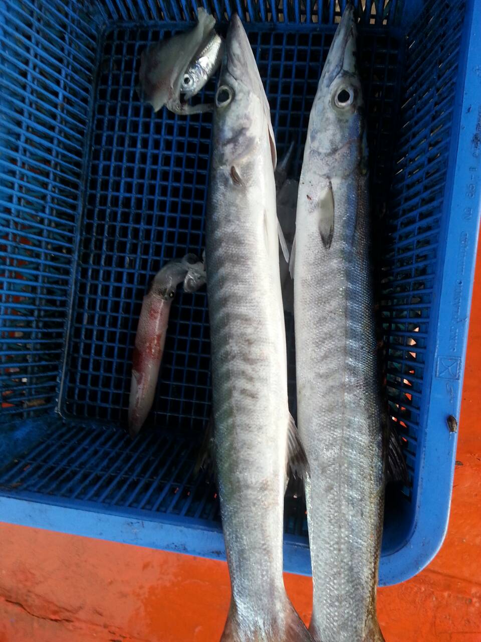 เตรียมทำข้าวต้มครับ