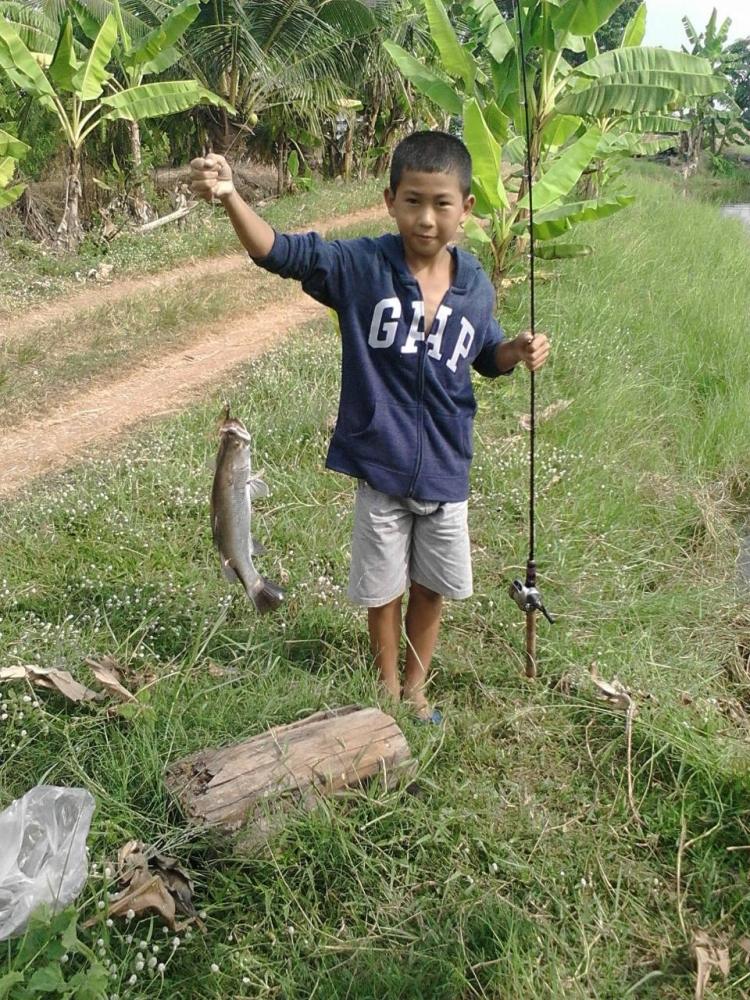 เด็กน้อย....หลานผู้ชื่นชอบตกปลามากกว่าเล่นเกมส์....ไม่เก่งแต่ขยัน....สอนไรก้อทำตามสอนยังได้ตัวมากกว่