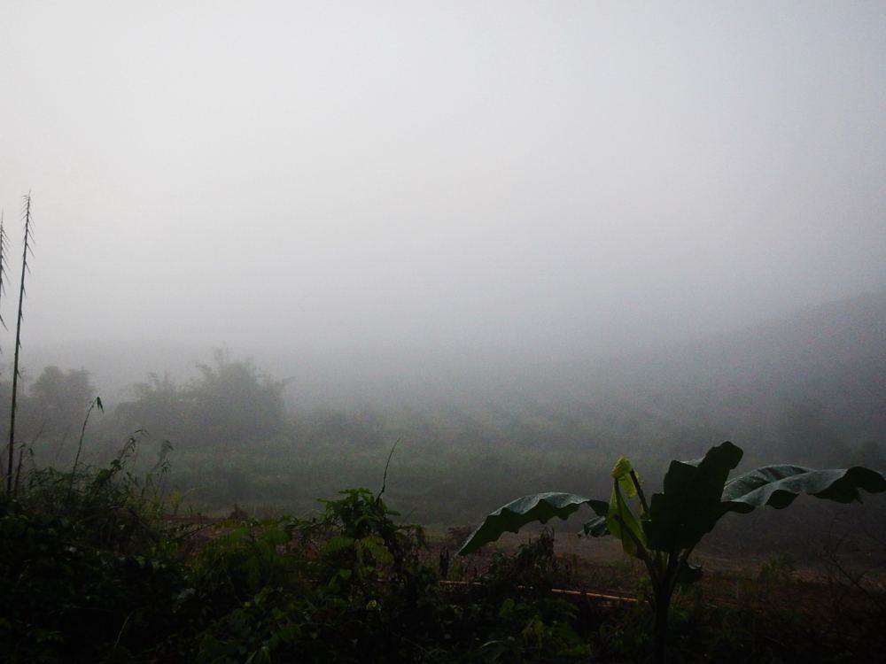 
 [center]เก็บภาพบรรยากาศ ข้างทางก่อนถึงหมาย หมอก....ปกคุมทั่วพื้นที่[/center]

