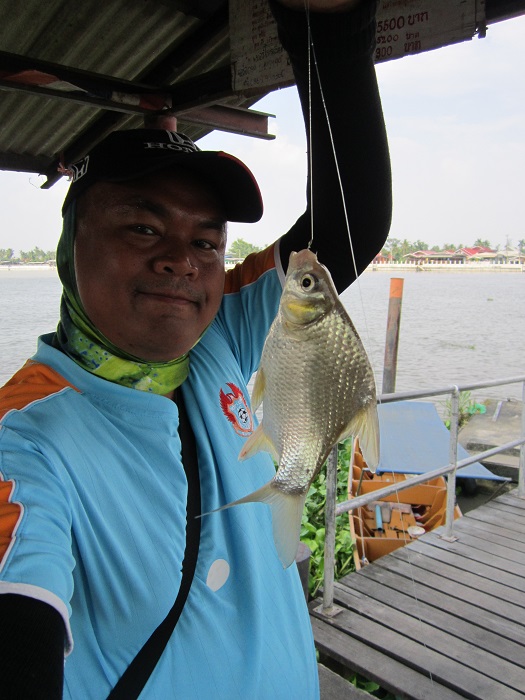 จัดไปอีกรูปครับ :cheer: :cheer: :cheer: :cheer: :cheer: :cheer: :cheer:
