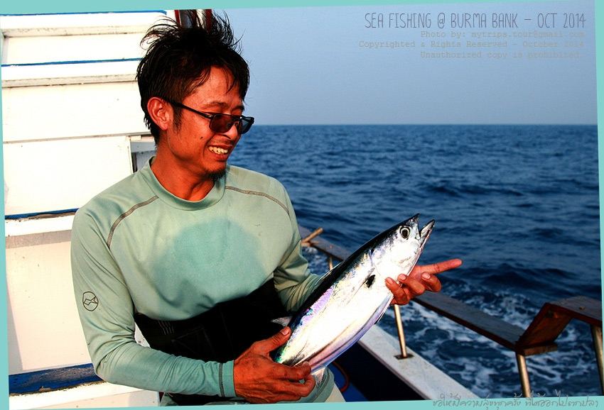 Jigging Reward #3  :rose:
