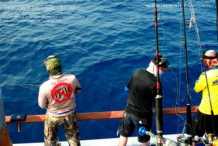 	หุ้น Jigging ขึ้นที่ท้ายเรือ  :dance: