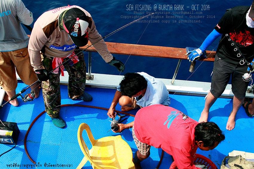 ไม่นานนัก ผมก็ช้อนซื้อหุ้นได้...ที่ท้ายเรือ  :cheer: