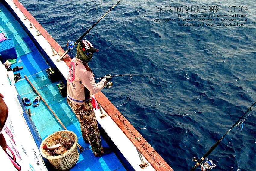 พอพักให้หายเหนื่อยเสร็จแล้ว ก็ย้ายพุงมาตกด้านกราบขวาของเรือต่อไป เอากันให้หมดแรงกันเลยน่ะ  :laughing