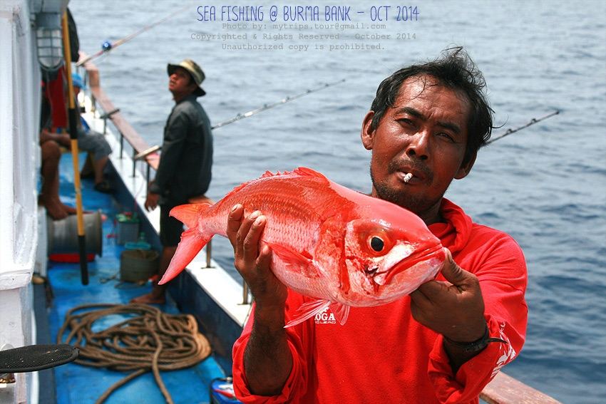 ลูกเรือชาวท้องถิ่น...ที่อย่างน้อยก็ยังพอส่งภาษาท้องถิ่นคุยกันบนเรือ ให้สอดคล้องกับยุคสมัย AEC ที่กำล