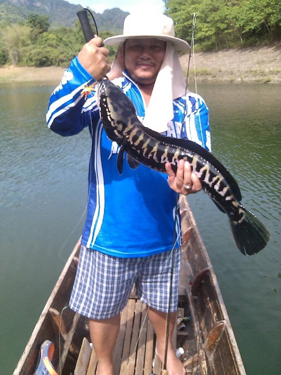 Snake head angler club ทริปวันพ่อ @ เขื่อนศรี