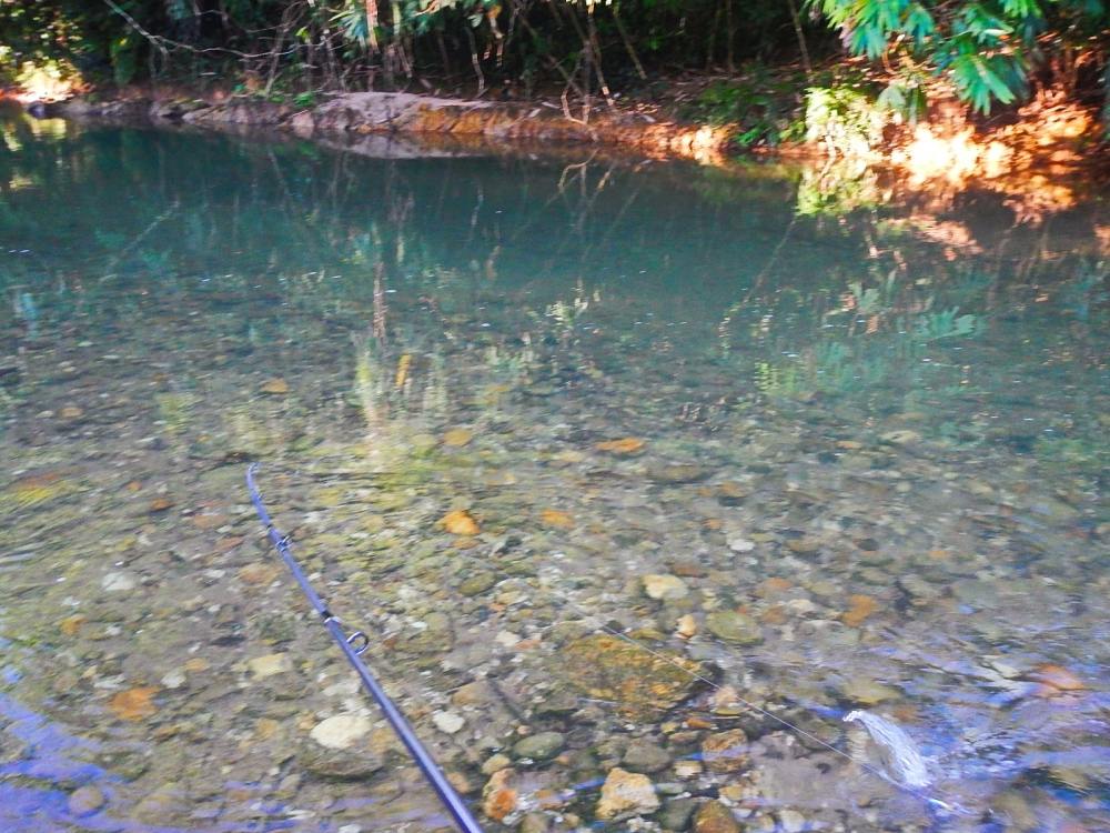 
 [center]จากภาพด้านบน สังเกตุดีๆนะครับ 
ฝั่งตรงข้ามที่มีตออยู่ติดเกือบขอบตลิ่ง มีหญ้าขึ้นบางๆ หลั