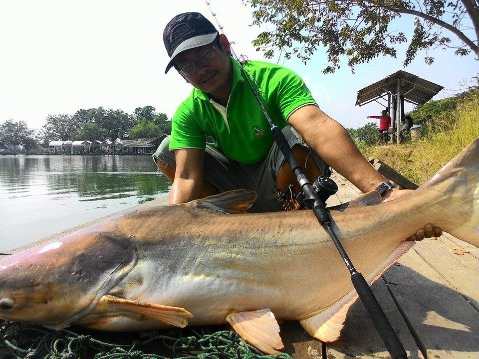 สดใสครับภาพนี้