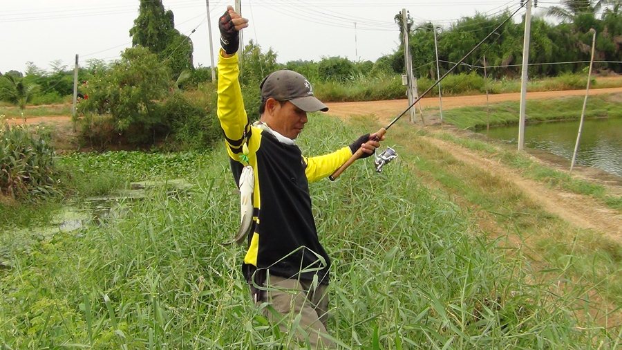 ไซด์นี้..ทั้งนั้น   ไซด์ปลาเกลือ  ครับผม !!!    :laughing: :laughing: :laughing: