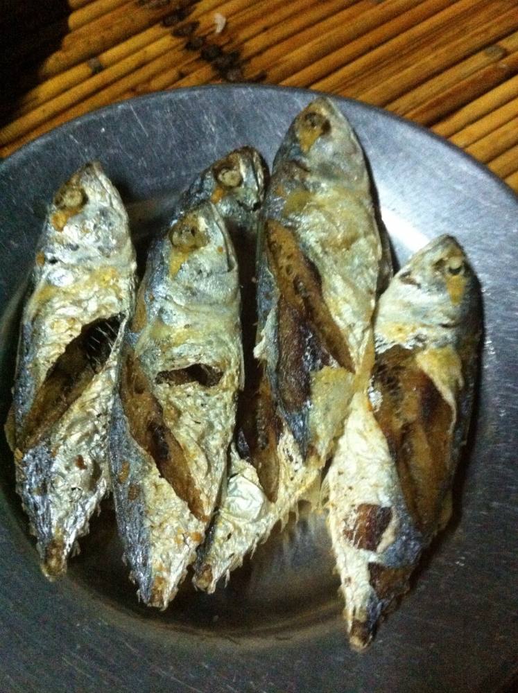 ปลาไม่กินเสร็จเรา

ขอบคุณที่เข้ามาชมและร่วมเชียร์นะครับ
 :prost: :prost: :prost: