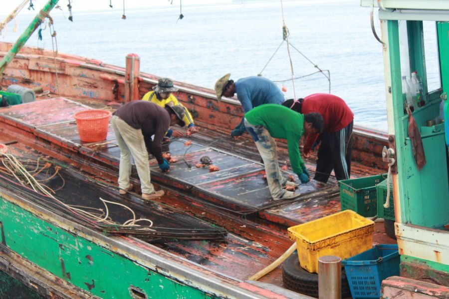 เรือปูมาไต๋แจวขอปูจักจั่นให้กิน เอาน้ำดื่ม เครื่องดิ่มไปแลกมาครับไม่ขาย :cheer: :cheer: :cheer: