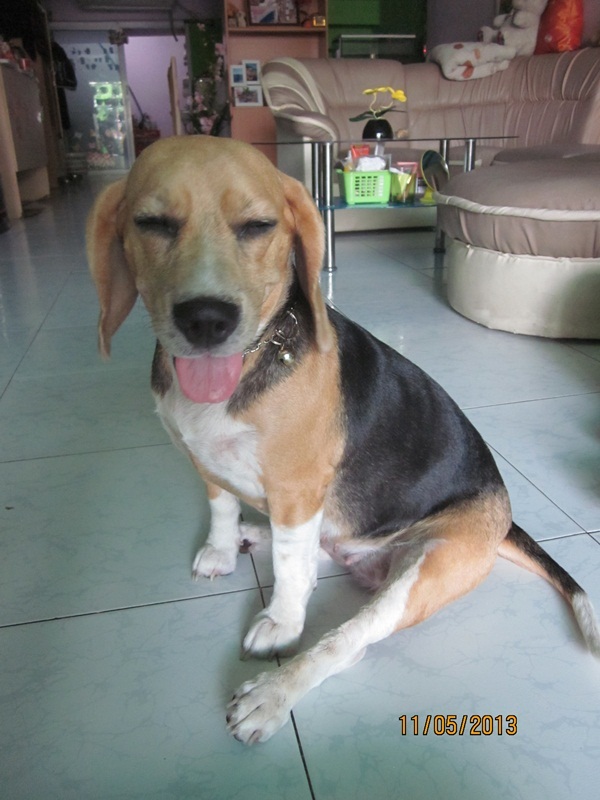 ขอตัวไปอาบน้ำแปปนะครับเหม็นมากมาย

จะรีบมาต่อให้จบนะครับ


 :laughing: :laughing: :laughing: :l