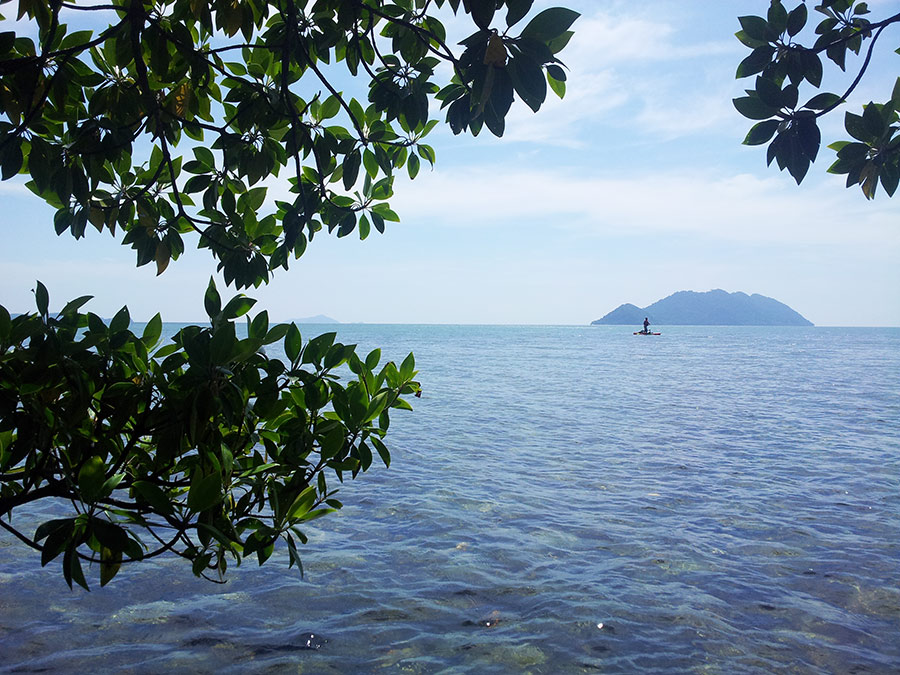  [center]คนพายพักเหนื่อยแอบหลบตามร่มไม้ริมเกาะ คนมีมอเตอร์ทรอลลิ่งตีเหยื่อเพลิน [/center]