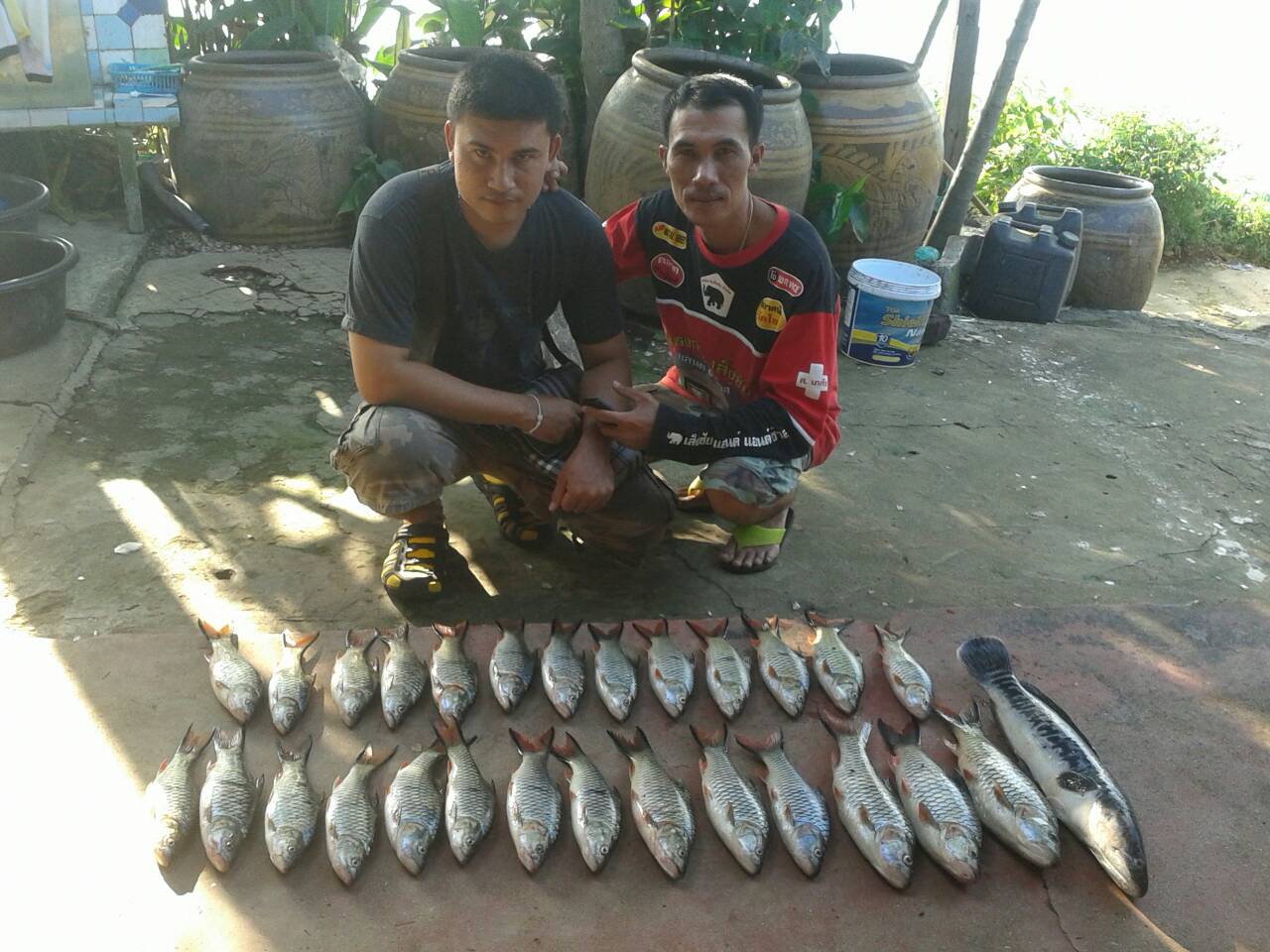 ลากันด้วยภาพนี้นะครับ ขอบคุณน้าทุกท่านที่เข้าชมนะครับ