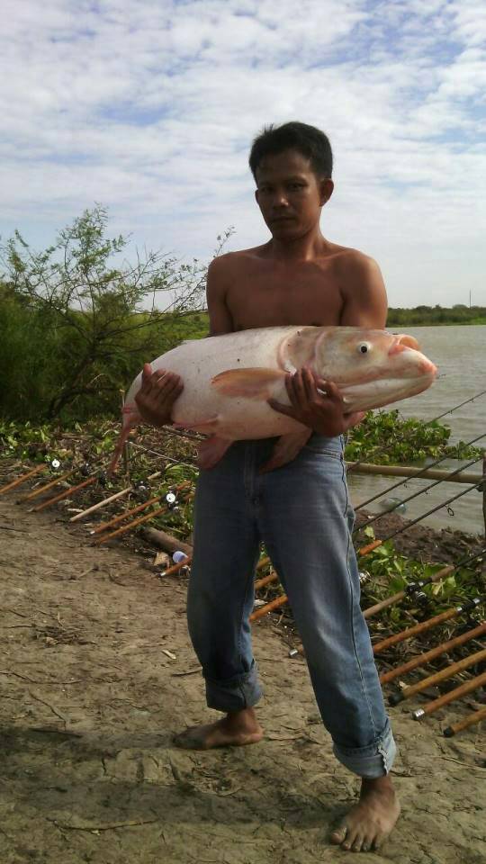 ทริปอาจาน