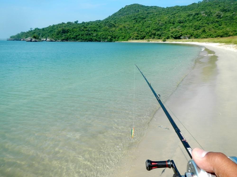  [b]ระหว่างเดินในชายหาดก็หวดไปเรื่อยๆ  ครับ ...เพราะมักมี  " ปลานวลจันทร์ทะเล "..(แบบกินเนื้อตัวยา