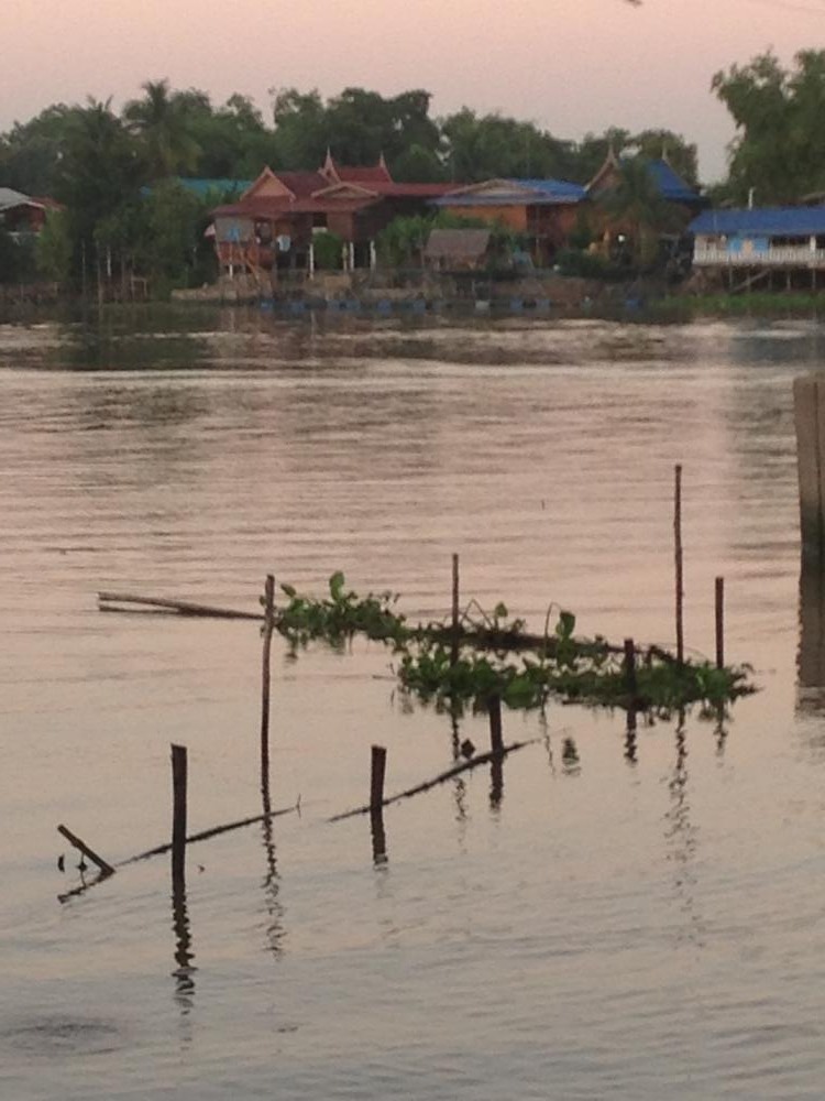 สายน้ำแห่งชีวิตที่ไม่มีวันหลับใหล