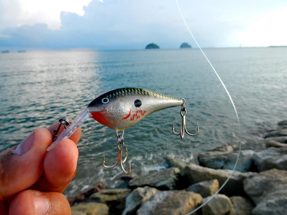  [b]...วันนี้ผมได้  ของใหม่แบบลดราคามาเล่น กับ Rapala Dt Thun 6 cm. "BOS" [/b]