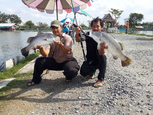 กำลังปลดเบ็ดปลาตัวแรก...น้าทร(เสื้อดำ) ก็จัดขึ้นมาอีกตัว หนักว่าตัวแรกครึ่งโลครับ
พิกัดสูงสุด 3.5 ก