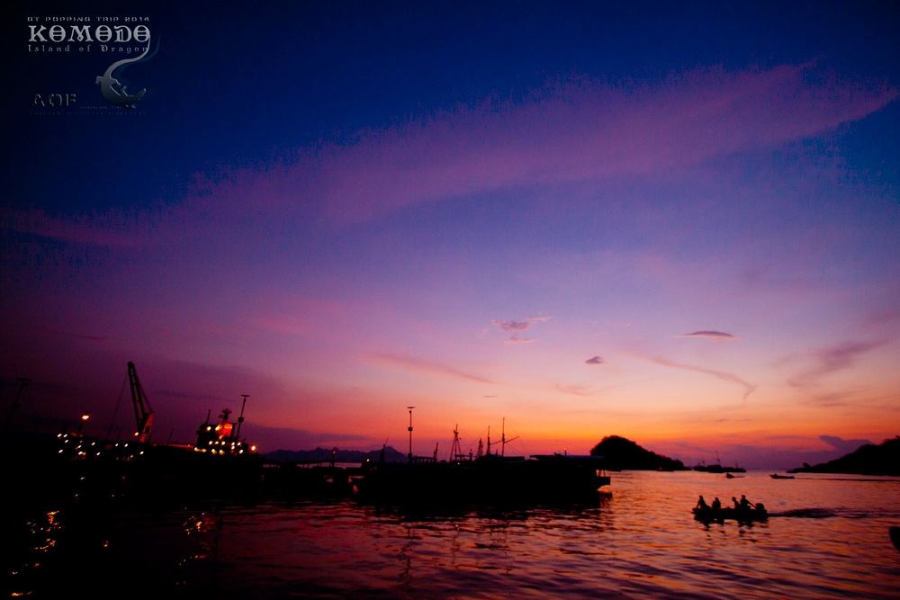 




ย่ำค่ำที่ Komodo

เราลงเรือตกปลาทุกเช้า ราว 7.30 น. และกลับเย็นทุกวัน








 