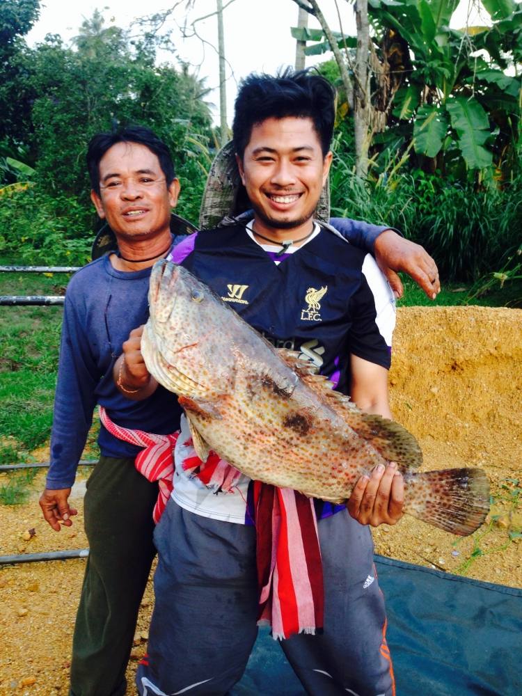 ผมกับน้าสงคนตกได้ครับ ถ่ายกันบนฝั่ง ละครับ ในเรือไม่ไหวครับ ลมแก่ๆ
 :laughing: :laughing: :laughing