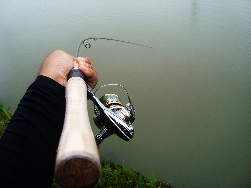 ร่วมสนุกด้วยครับ  

ชุดแรก

Rod : Shimano Trout one Area Special 66UL 

Reels : Shimano Stella