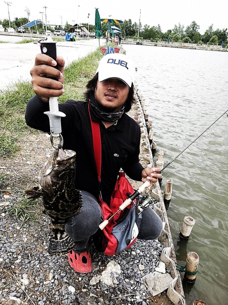 ชุดสอง

Rod : Shimano Cardiff Area Special 66SUL-F

Reels : Shimano Stella 1000S ' 07

Line :