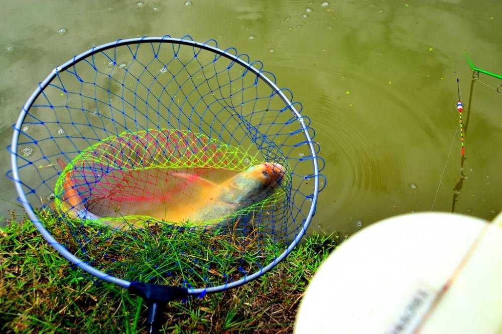 ช่วง โปรโมชั่น มากันเป็นฝูงเลยว่ะ :love: