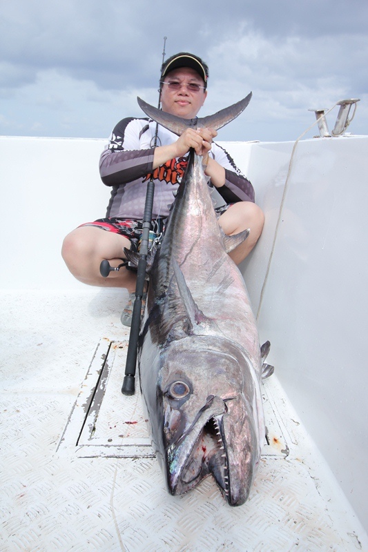 Rod : Spartans Monter Hunter pe4-8
Reel : Shimano Stella 20000 
Line: Shimano Ocea Pe8

 :cheer: