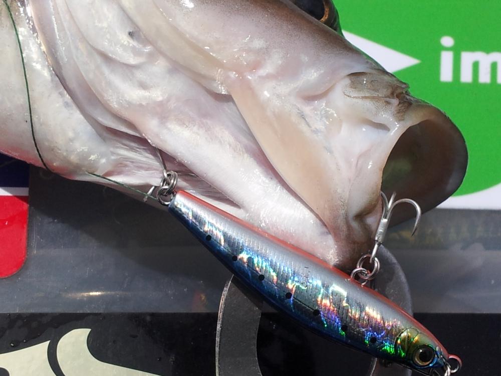 Maria Bluecodes 60/45
เทคนิคการตีเหยื่อปลากระสูบเท่าที่ผ่านมานะครับ
ปลากระสูบมักหากินเป็นฝูงตามผิว
