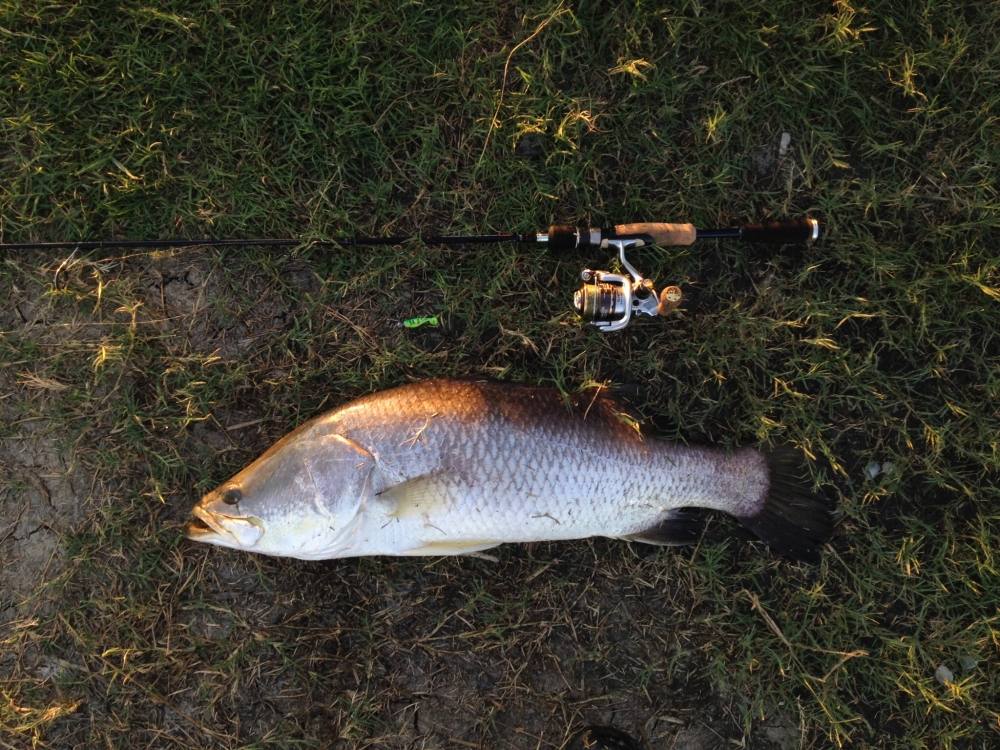 
Rod : Major craft Basspara 6f  4-8lb 
Reel : Biomaster 1000s
Line : Berkley nanofil 12lb
Lure :