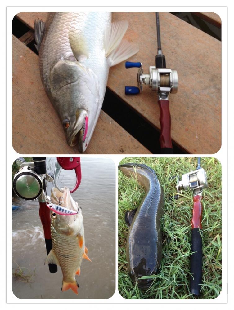 Rod: megabass arm 8-20 
Reel: ryoga 1016hl,cq51dc
Line: pe3
Lure: duo ryuki 45
คันเดียวเที่ยวทั่