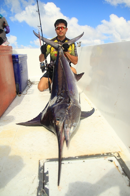 Rod : Spartans Monter Hunter pe4-8
Reel : Shimano Stella 20000
Line: Shimano Ocea Pe8

 :cool: :