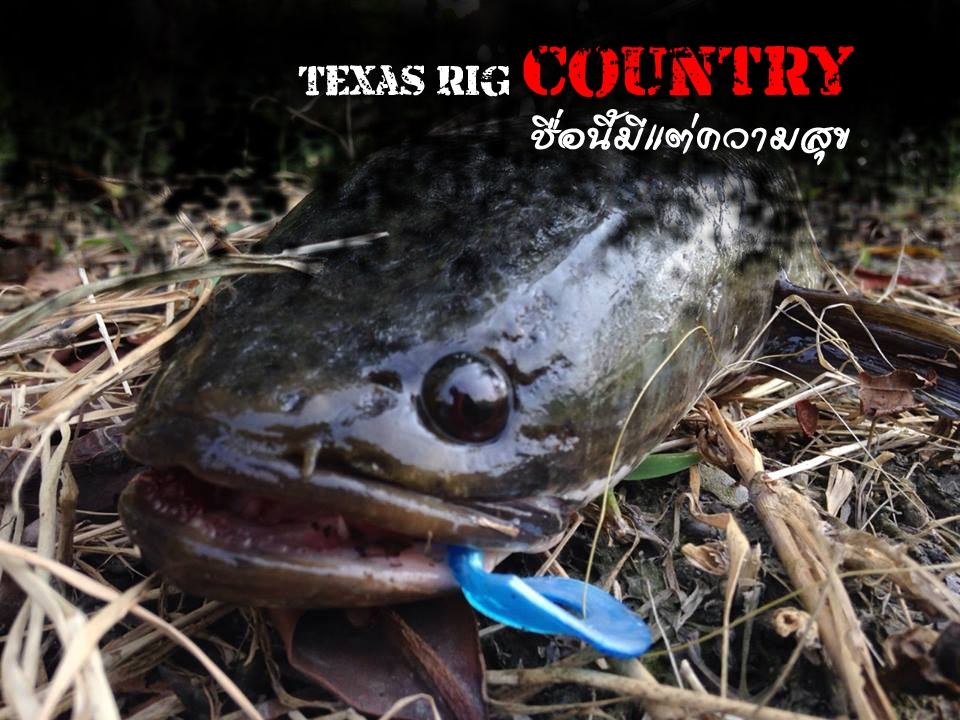 Texas Rig  Country  ชื่อนี้มีแต่ความสุข