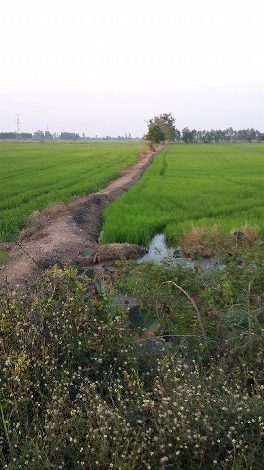 หมายมันน่ามากแต่ตอนเช้ากับบ่ายไม่กัด :laughing: :laughing: :laughing: