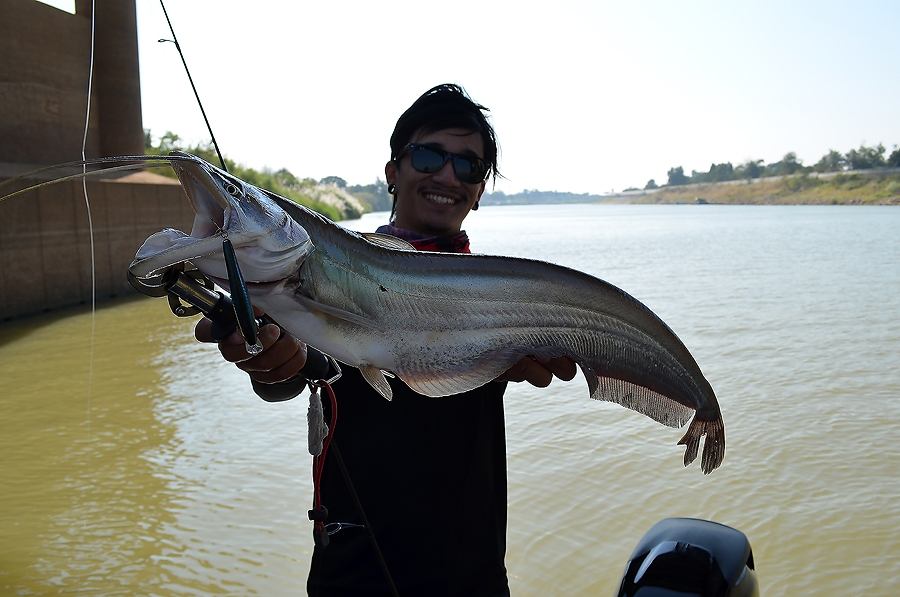 [center]

 [b]เค้าเจ้าพระยา[/b]   :heart:


Fish : WALLAGO ATTU 

Reel : Shimano RARENIUM Cl4