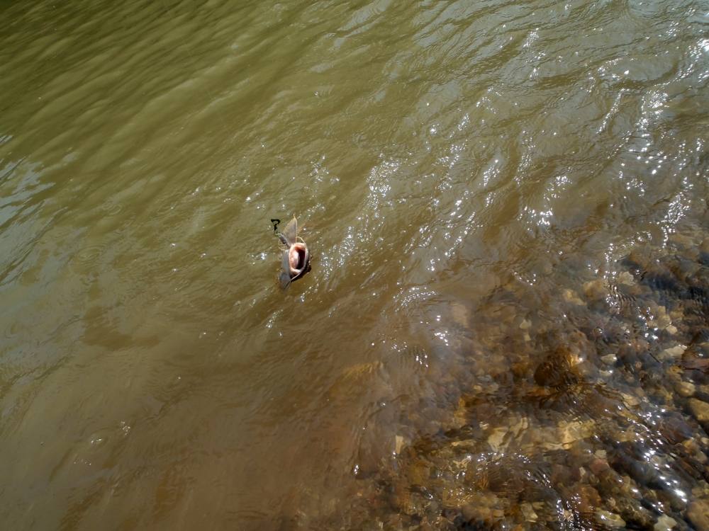 [center][q][i]อ้างถึง: fishing101 posted: 9 ม.ค. 58, 19:28[/i]
 :love: :love: :love: :love: :love: 
